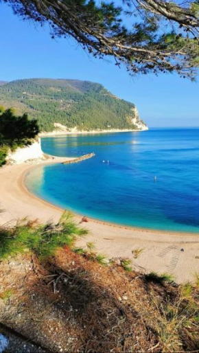 Affittacamere Villa Zelinda